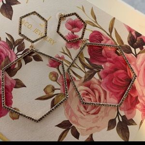 NWOT dangle earrings from Express!